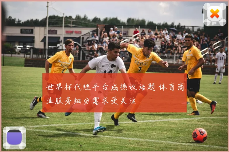 世界杯代理平台成热议话题 体育商业服务细分需求受关注