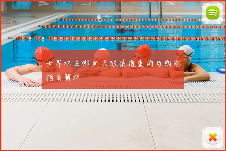 世界杯去哪里买球渠道查询与购彩指南解析