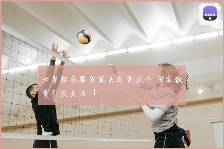 世界杯参赛国家共有多少个 国家数量引发关注_1